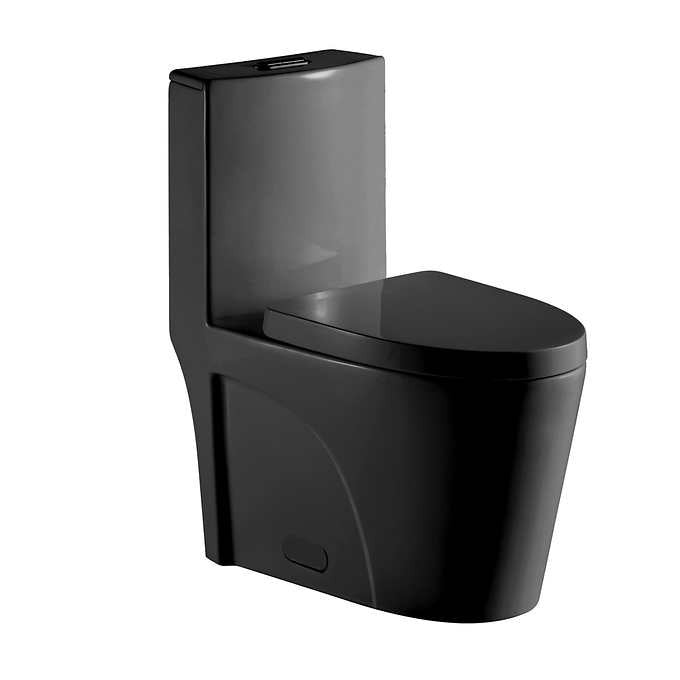 Agua Canada Tyrone 1-piece Dual Flush Toilet