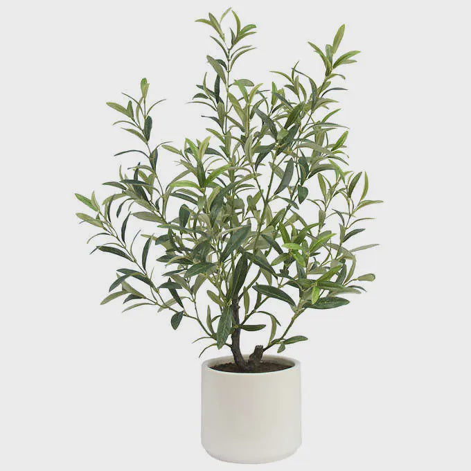 CG Hunter Faux Olive Tabletop Plant