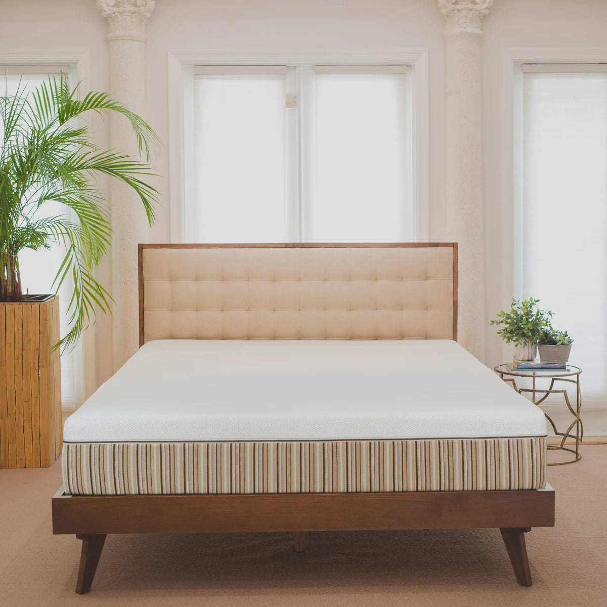 Essentia Organic Dream Green 22.9 cm (9 in.) Latex Mattress, Queen