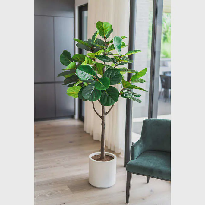 Faux Fiddle Leaf Fig Tree 2 m (6.5 ft)