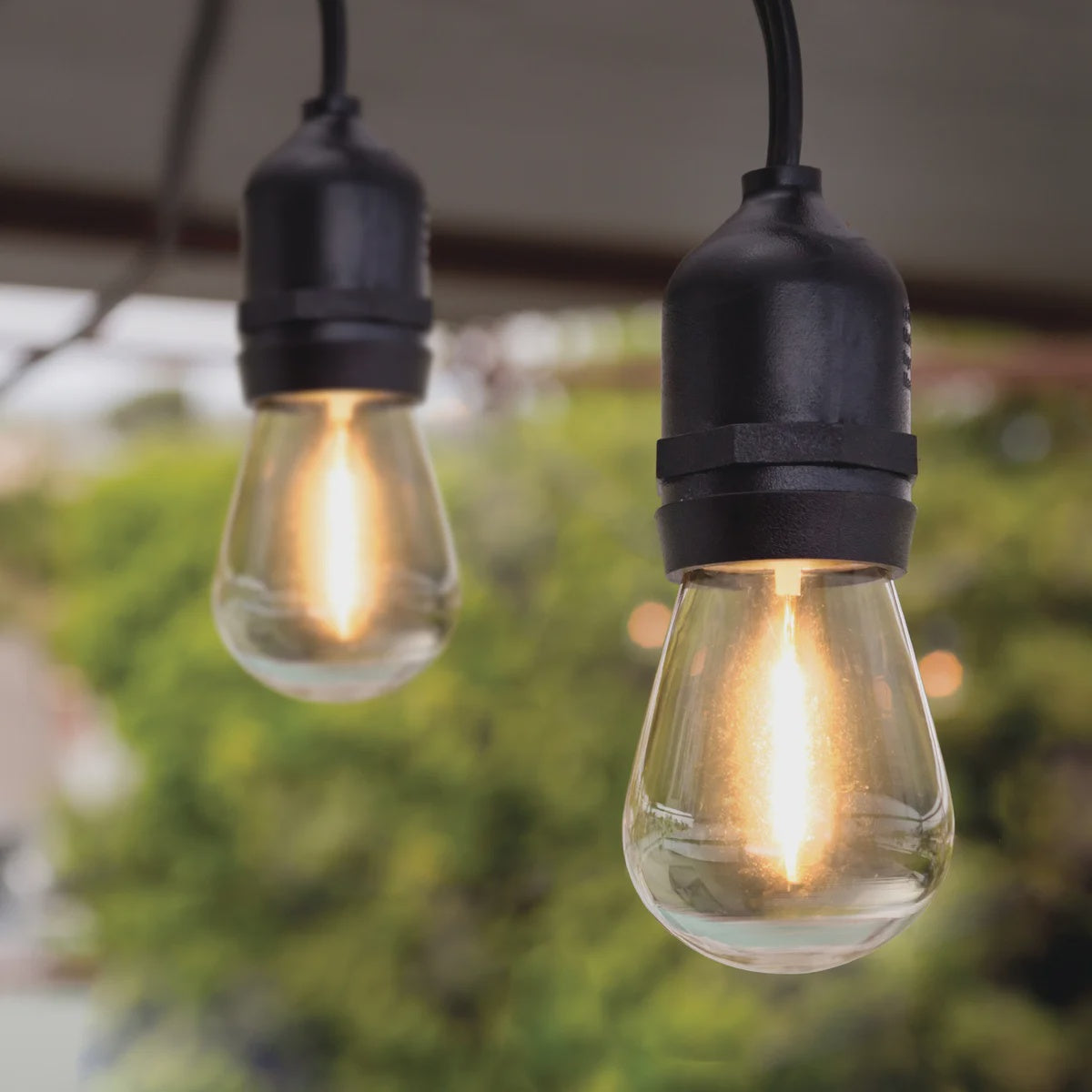 Feit Electric LED String Light Replacement Bulbs, 6-pack