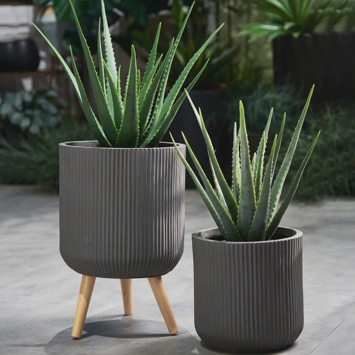 Light Weight Concrete Planter, Multisize 2-pack