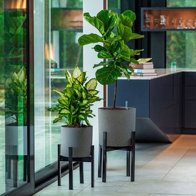 Vaxa Mid Century Planter Set