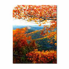 Appollo Autumn Leaves 91.4 cm x 121.9 cm (36 in. x 48 in.) Painting