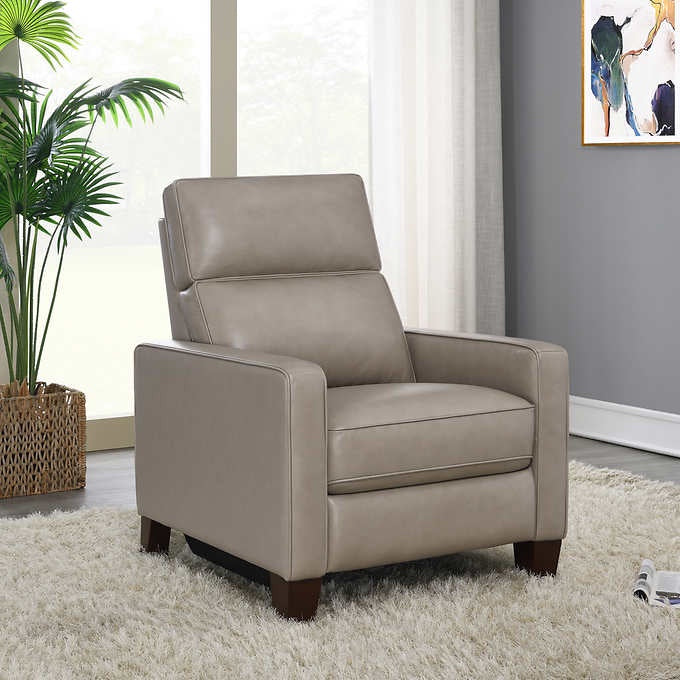 Jackston Modern Top Grain Leather Power Recliner with Power Headrest